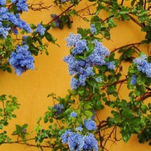 Meet your Posher, Kat